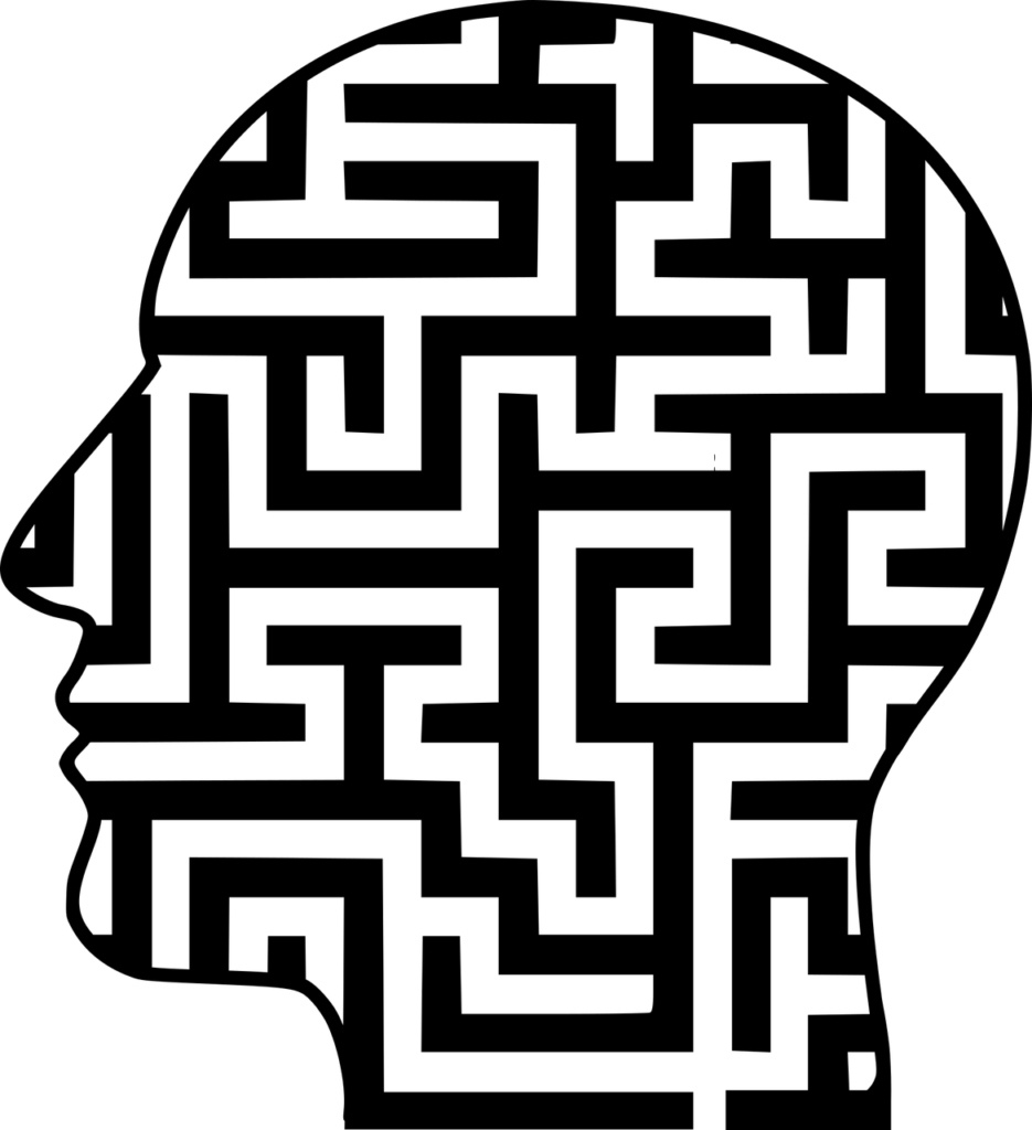 maze, mind, head-4335226.jpg